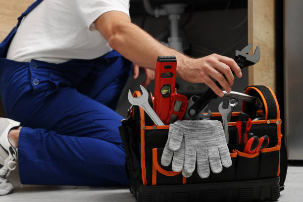 Best Local Plumber Services  in Goodman, MO