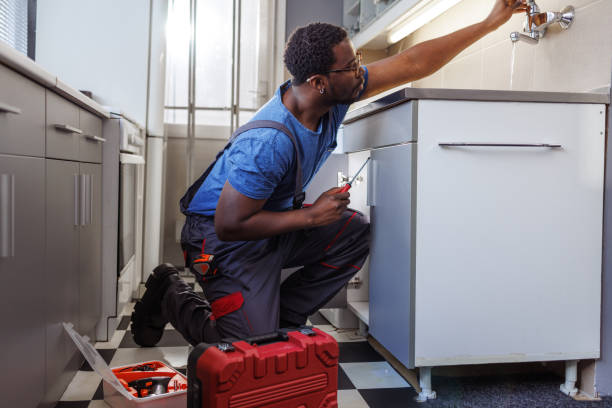 Best Residential Plumbing Services  in Goodman, MO