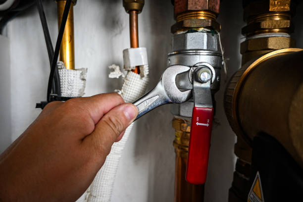 Best Plumbing Inspection Services  in Goodman, MO